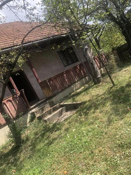 Casa batraneasca de vanzare in satul Martanus, Jud. Covasna - 6