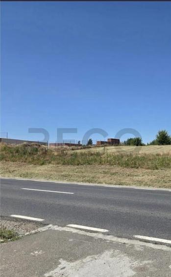 RECO Teren intravilan 900 mp Biharia - 2