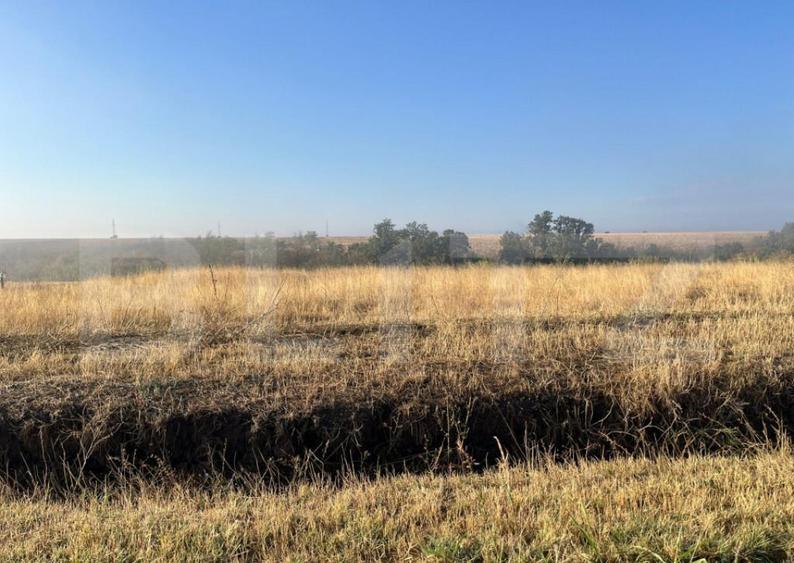 Teren intravilan, 2.500 mp, sat Sarbatoarea - 1