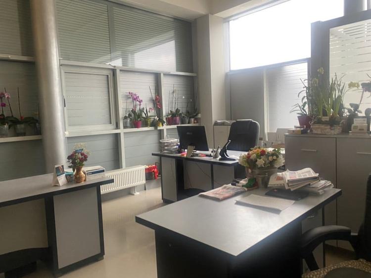 HALA PRODUCTIE + TEREN CALEA BUCURESTI - 6