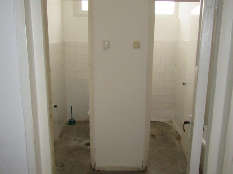 Inchiriere spatiu comercial Teiul Doamnei - 23