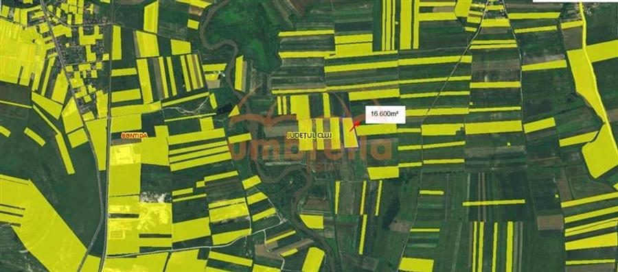 Teren de vanzare Bontida. Extravilan 16.600/? - 1