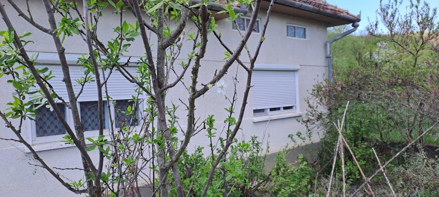 Casa de vanzare in localitatea Gurasada, Hunedoara - 6