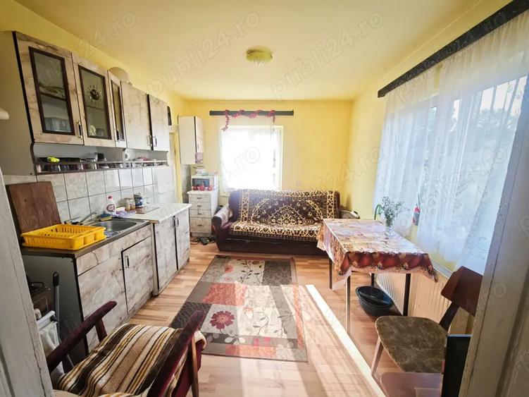 Vanzare casa si teren - 8