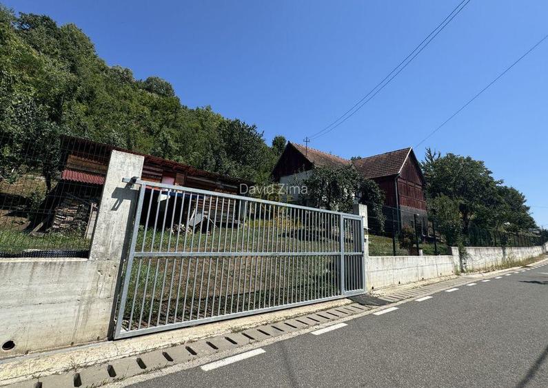 De vanzare Casa cu teren 3500MP in Sabisa/Maramures