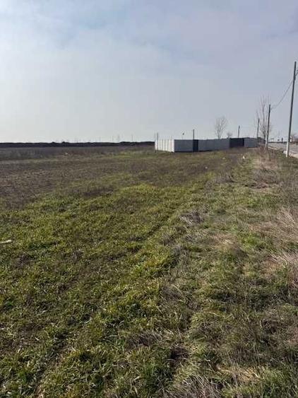 Teren Intravilan Pielesti, 7274mp - 2