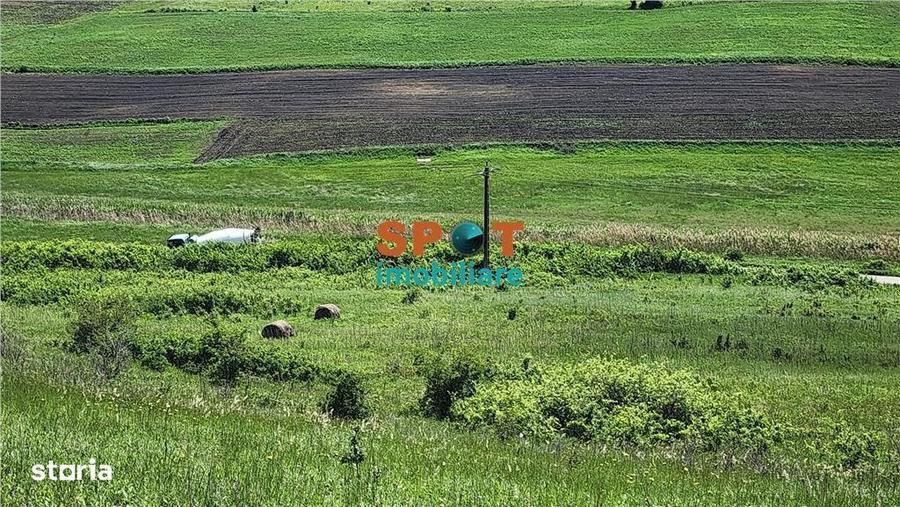 Teren extravilan 2.5 ha investitie ideala, sat Visa - 5