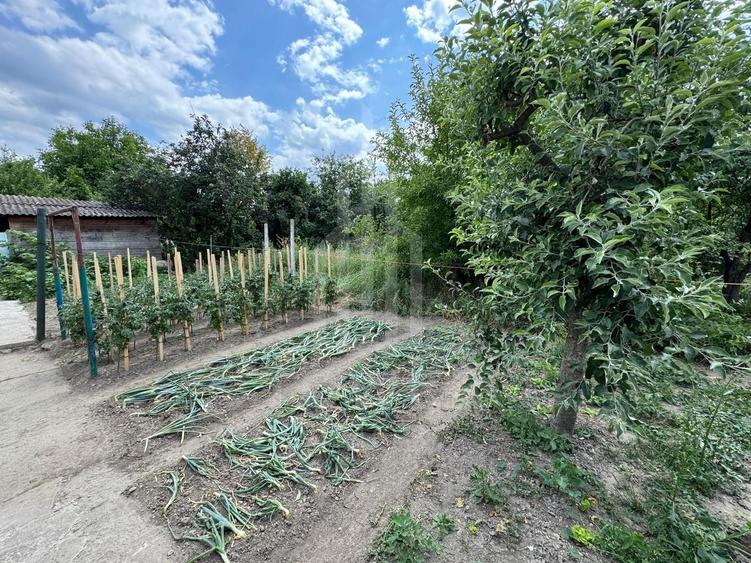 Casă spațioasă in Seica Mare - Centru | 92mpu 638mp teren - EXCLUSIVITATE - 7