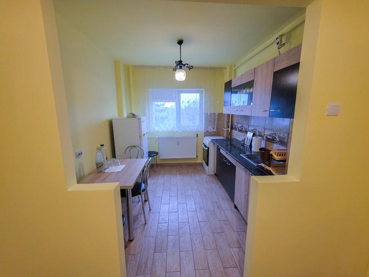 Dristor - Rm Sarat - stradal, Apartament 2 Camere Semidecomandat - 9