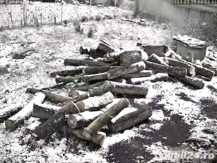 Vand casa renovata,anexe ,3000m2 in Recea Cristur - 1