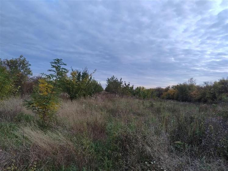 RECO Teren intravilan Miersig - 5