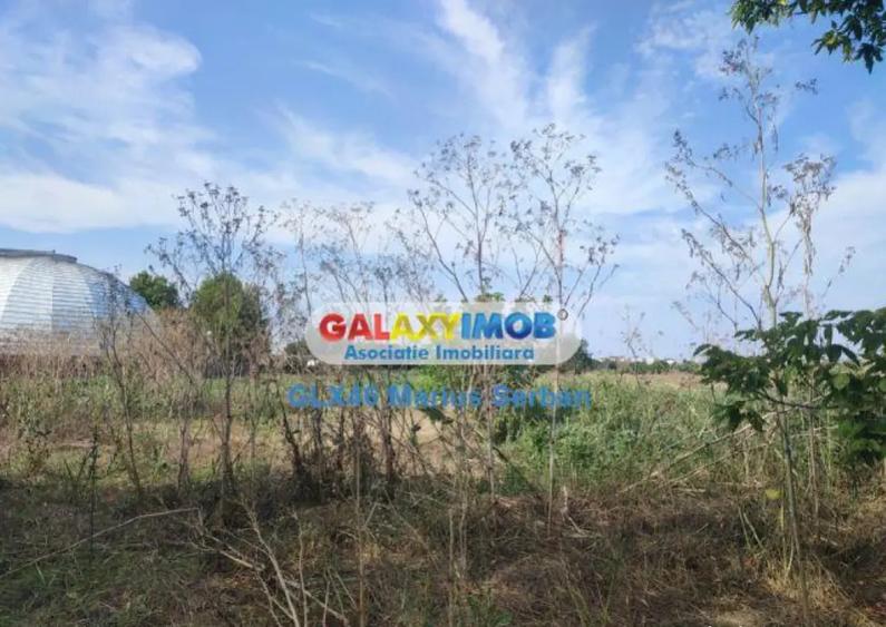 Teren intravilan Targoviste - 4