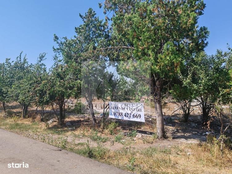 Spațiu comercial, în Cetatea