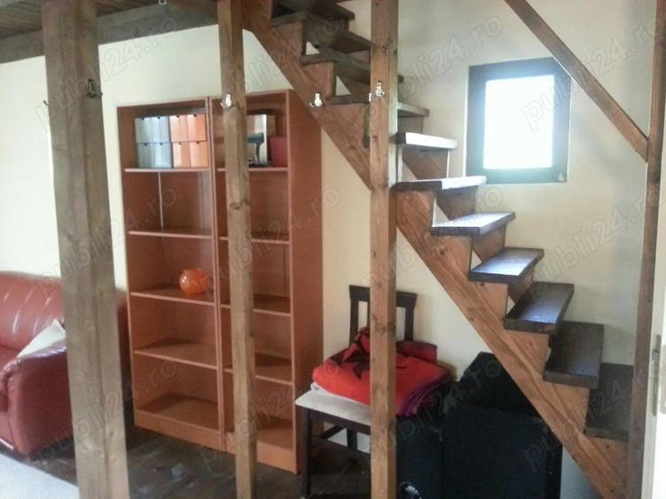 Cabana de vanzare: Ibanesti - Zimti intr-o zona de vis, pe malul apei - 1