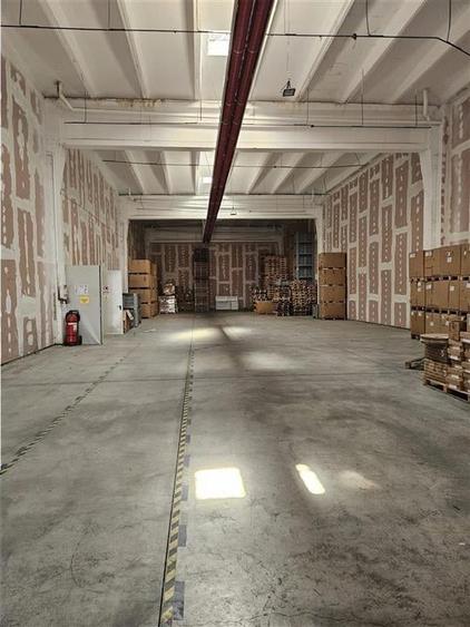 Spatiu Industrial - 3300 mp - Productie - Depozitare - Distributie - 29