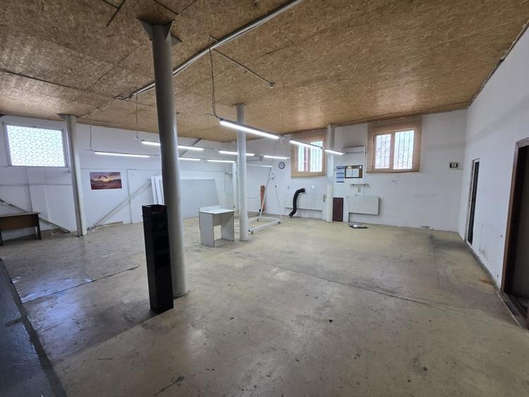 Hala 1000mp zona Bradului - 1