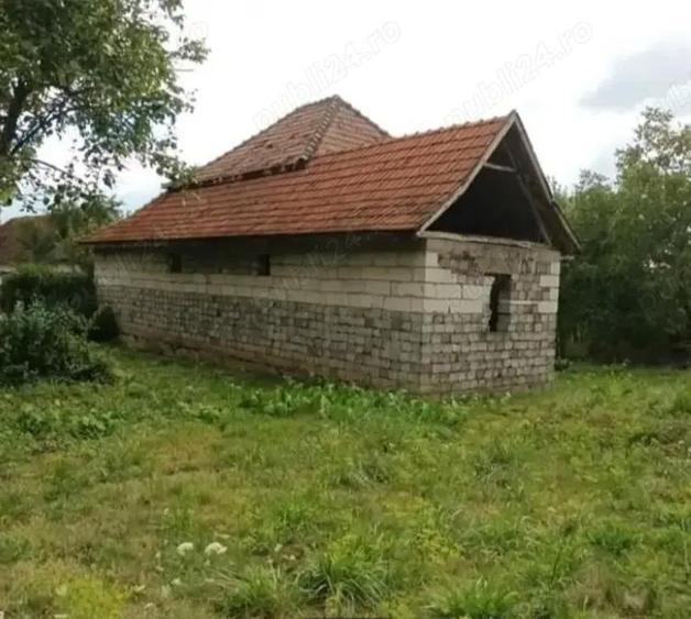 Casa de vanzare la tara - 2