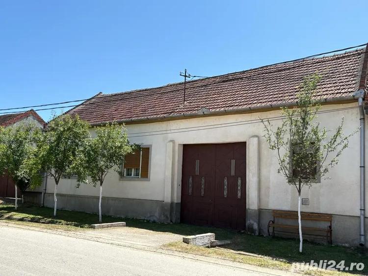 Vand Casa - 8