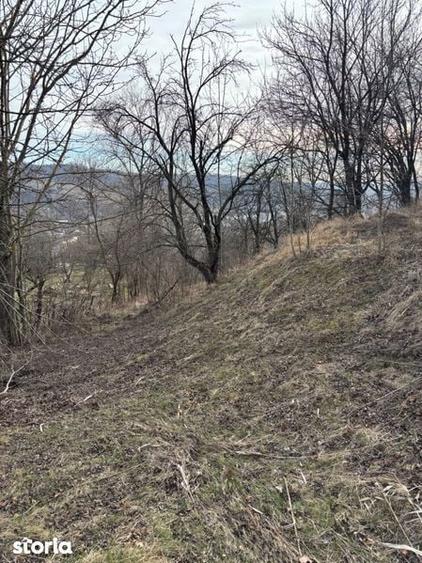 Teren de vanzare Fieni Dambovita - 7