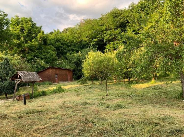 Ocazie Casa de vanzare Stefanesti Arges - 6