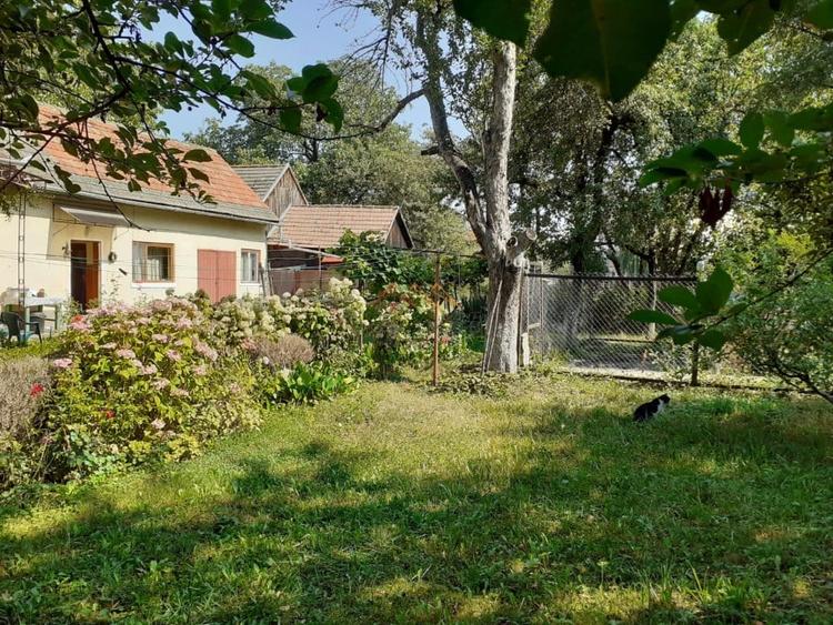 Casa 3 camere, teren 3625 mp, toate utilitatile, Sacele, Brasov - 3