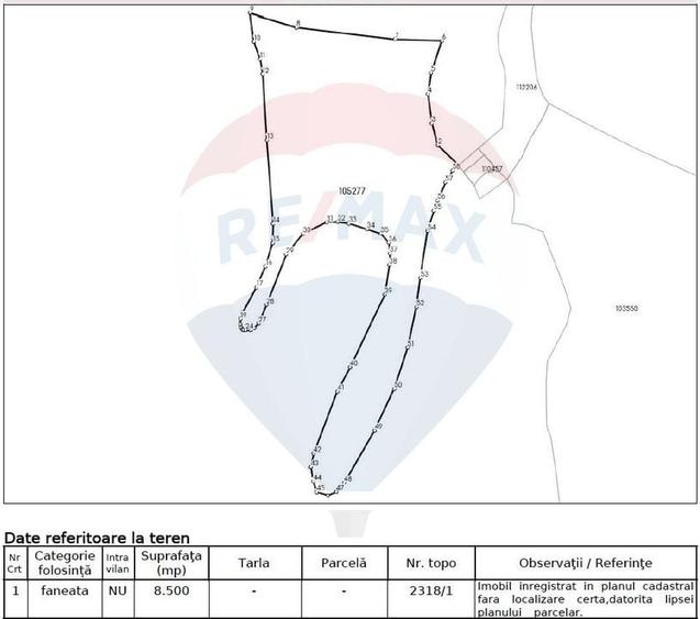 Teren 8500 mp, Valea Dalghiului - Dalghiu - vedere catre Ciucas - 14