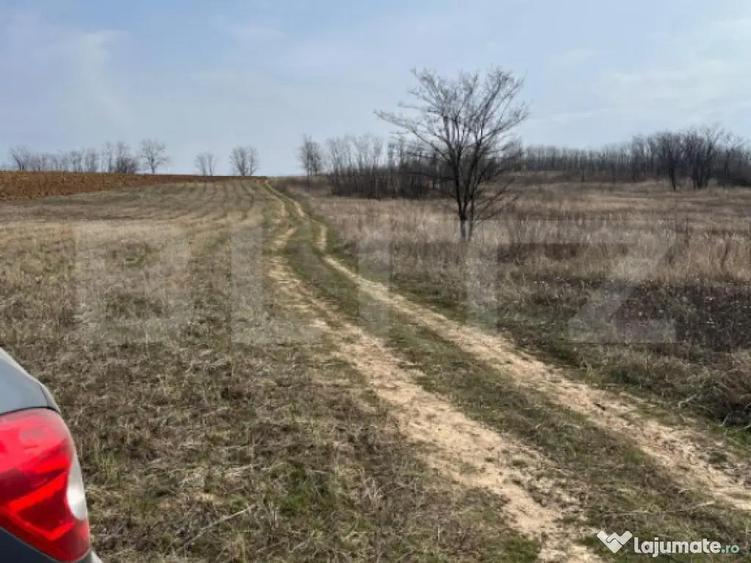 Teren intravilan de vanzare, 9783 mp, Paleu zona Iacului - 6