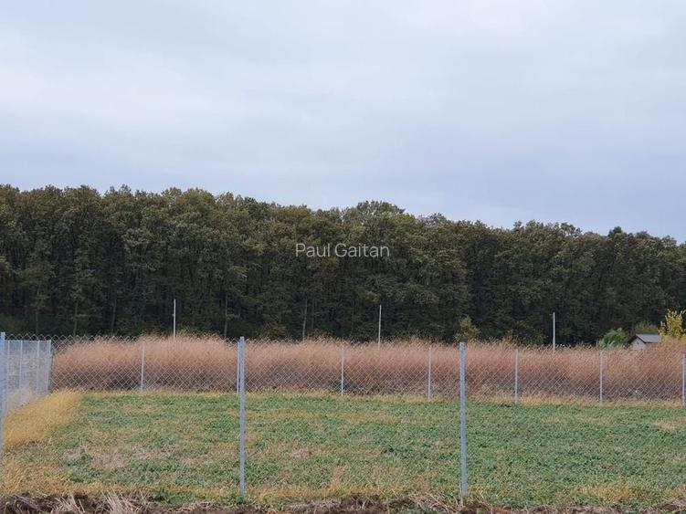 Teren 1500 mp Ghermanesti in proximitatea padurii str Nicopole