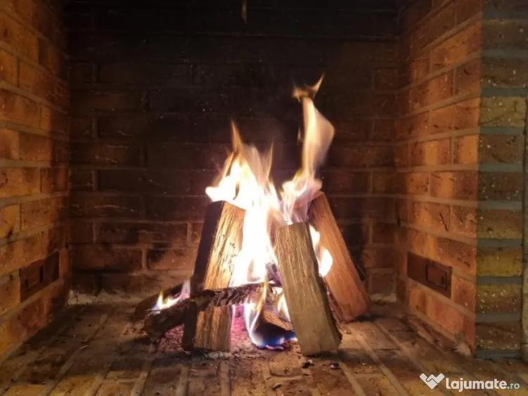 Vila superba direct de la proprietar Corbeanca - 14