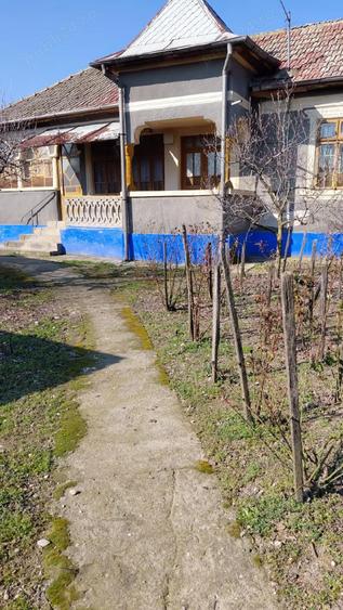 Casa de vanzare - 5