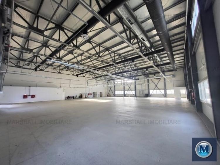 Spatiu industrial de inchiriat, zona Exterior Vest, 1185 mp #16782 - 1