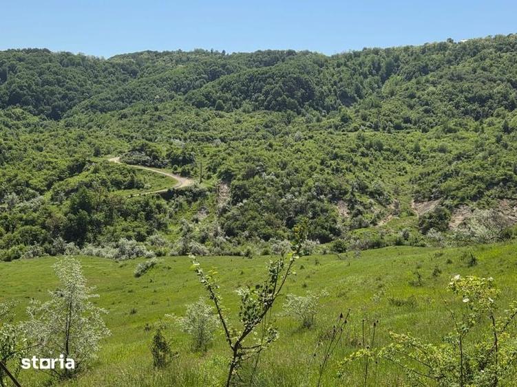 Casa de vanzare zona de munte in jud prahova - 3