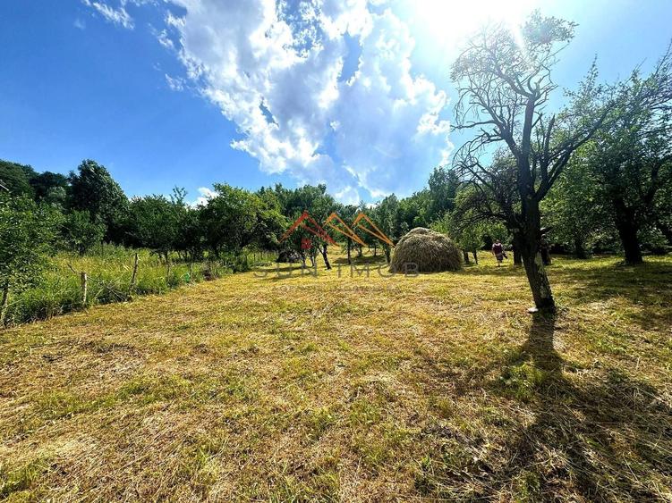 Teren 2037 mp, 17 ml deschidere, 28 euro/m2, vedere panoramica - 4