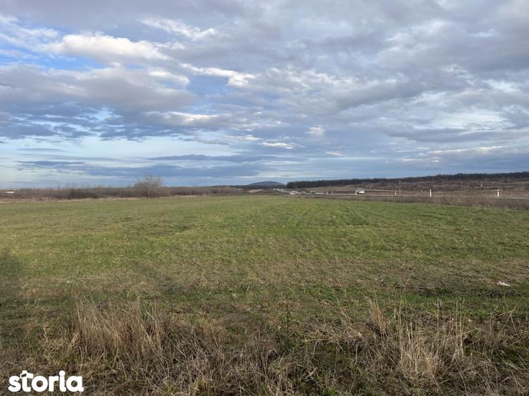 Teren 7481 mp, cu acces facil la Inelul Metropolitan - 8