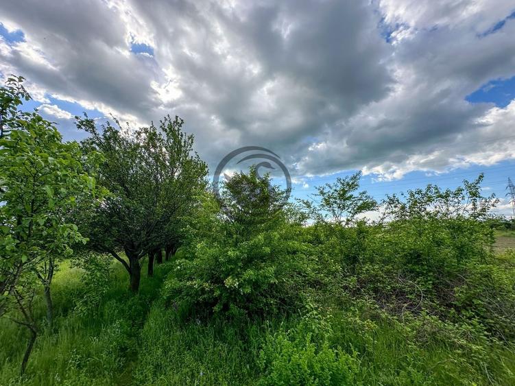 Teren agricol intravilan de 3600 mp, în Gura Vitioarei