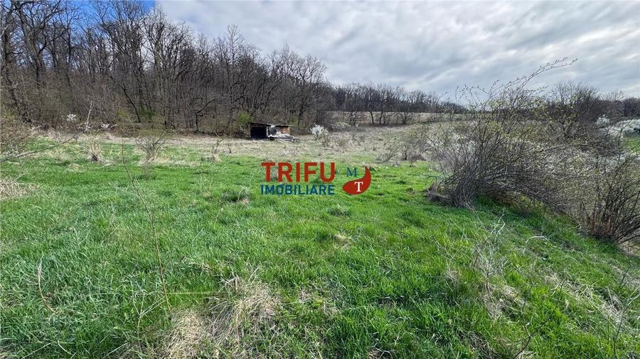 Teren Construcții intravilan de 1632 mp, în Ampoița