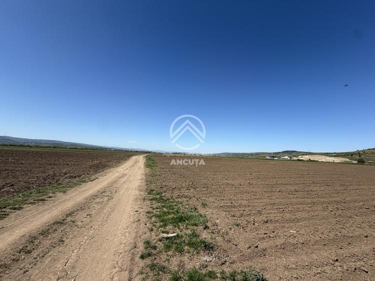 Teren extravilan de 2900 mp, în Sânnicoară