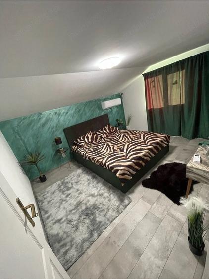 Surduc Lake house 574 - 16