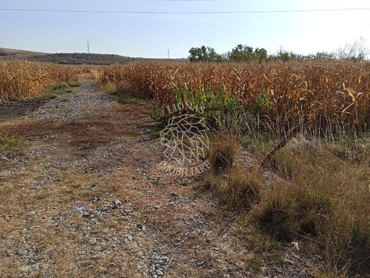 Teren agricol extravilan de 770 mp, în Sărata