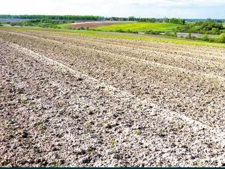 Teren de 16500 mp, în Grădiștea