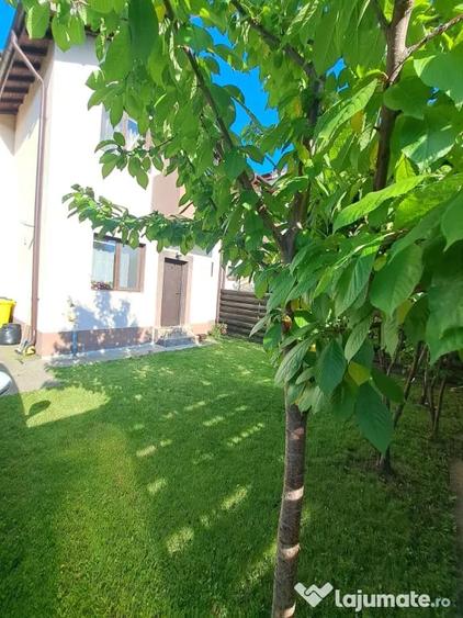 Casă cu 4 camere în Domnești