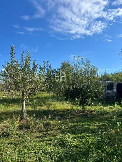 Casă individuală cu 6 camere cu Canalizare în Podenii Noi