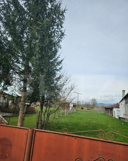 Casa batraneasca cu teren generos, in localitatea Dedra - 5