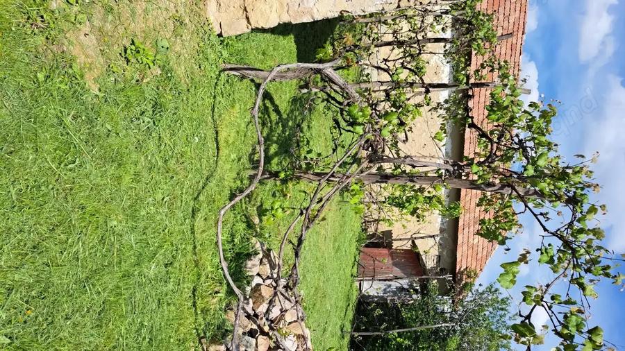 Vand casa Urvi? de Beiu? - 2