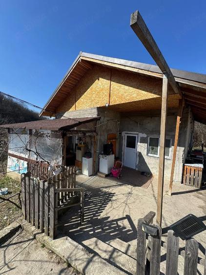 Vand casa la tara - 6