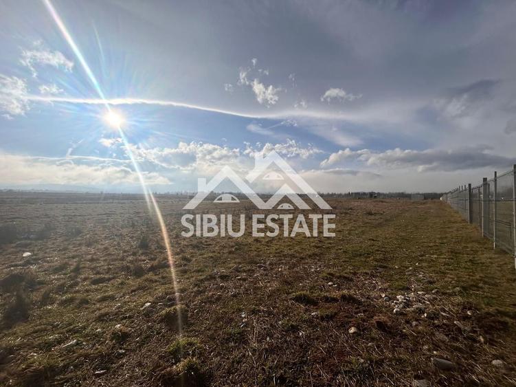 Oferta Limitata! Teren 4000mp V Avrigului 18e/mp - 2