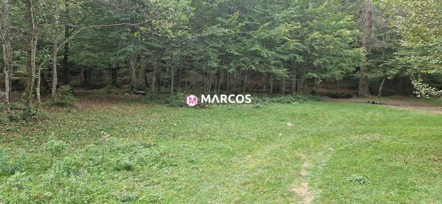 Teren Valiug, 612mp,ID 1036 - 1