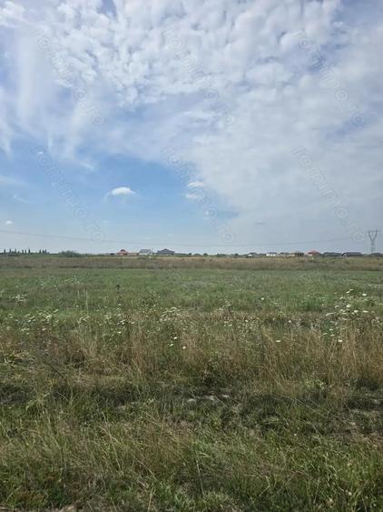 Mosnita Veche - 11 parcele - 10800 mp- CF individuale - 5