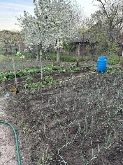 Casa de vanzare - 20