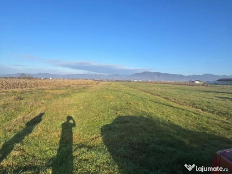 Teren de vanzare Mocira, jud. Maramure? 18 ari - 1